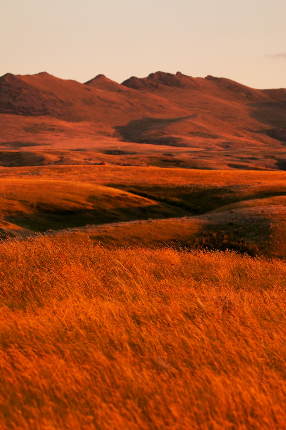 brown mountain and grass field during daytime