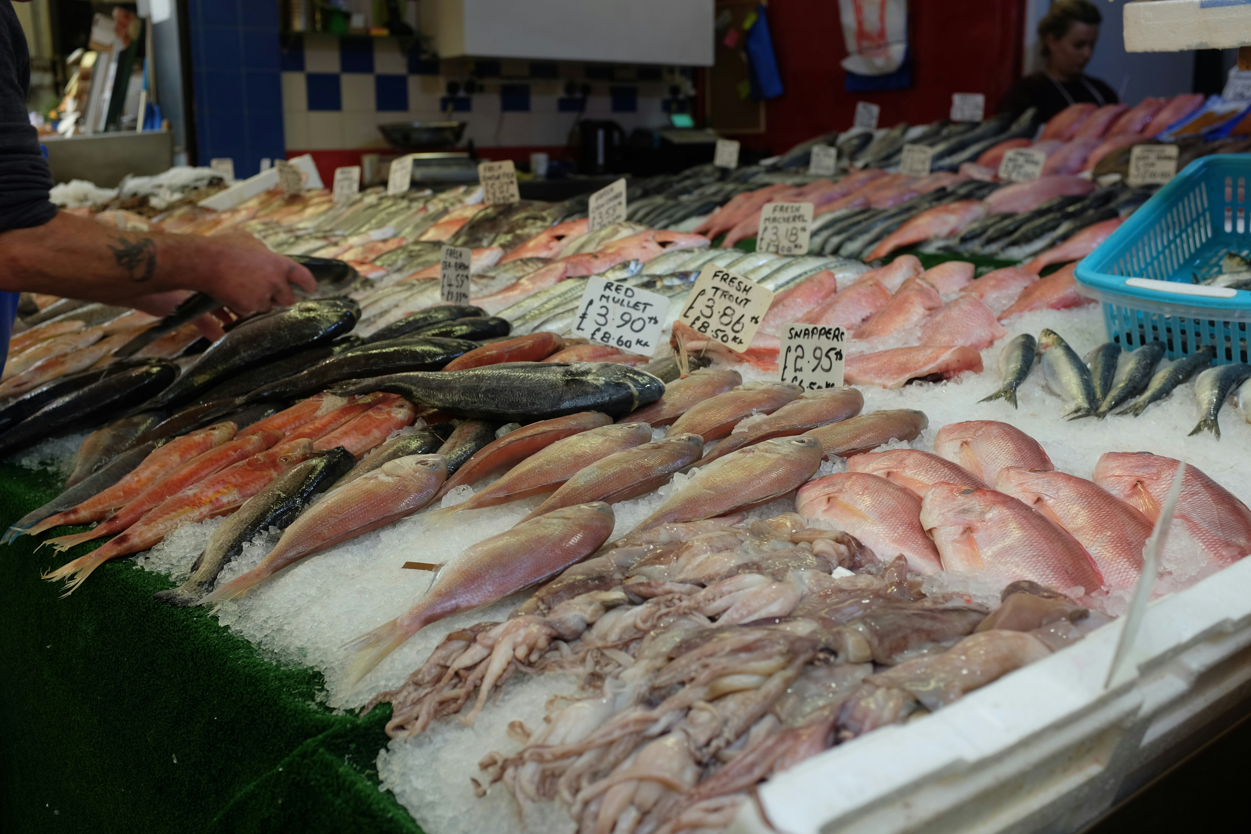 variety of fishes, Fish Market in Brixton, London