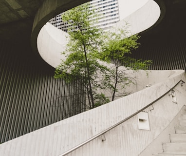 architectural photography of concrete stair