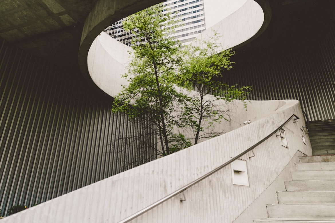 A tree in the middle of the stairs.