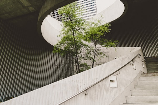 Tree growing through outdoor staircase