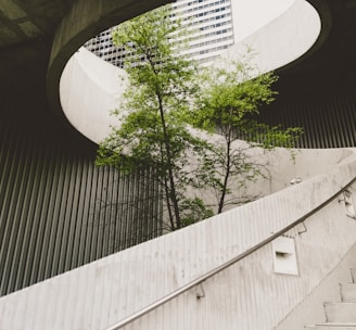 architectural photography of concrete stair