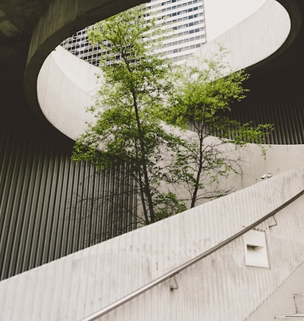 architectural photography of concrete stair