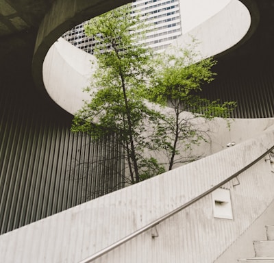 architectural photography of concrete stair