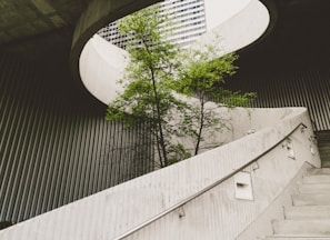 architectural photography of concrete stair