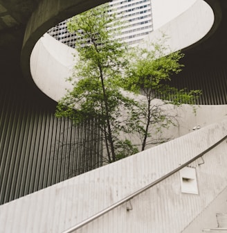 architectural photography of concrete stair