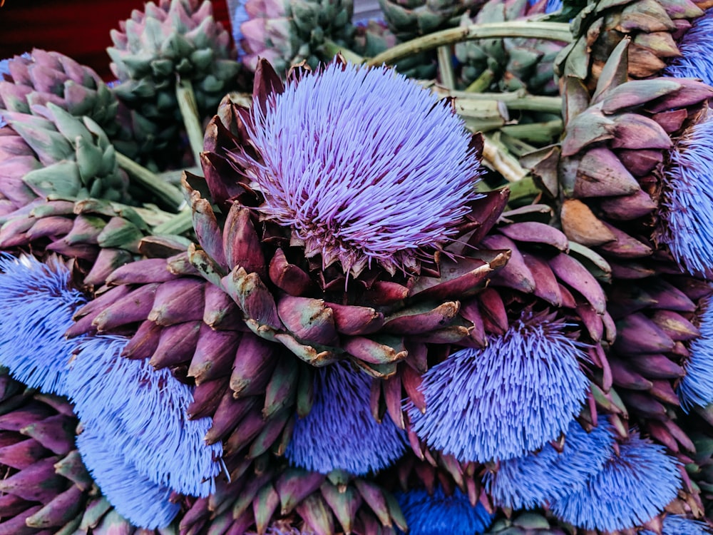 flor de pétalas azuis