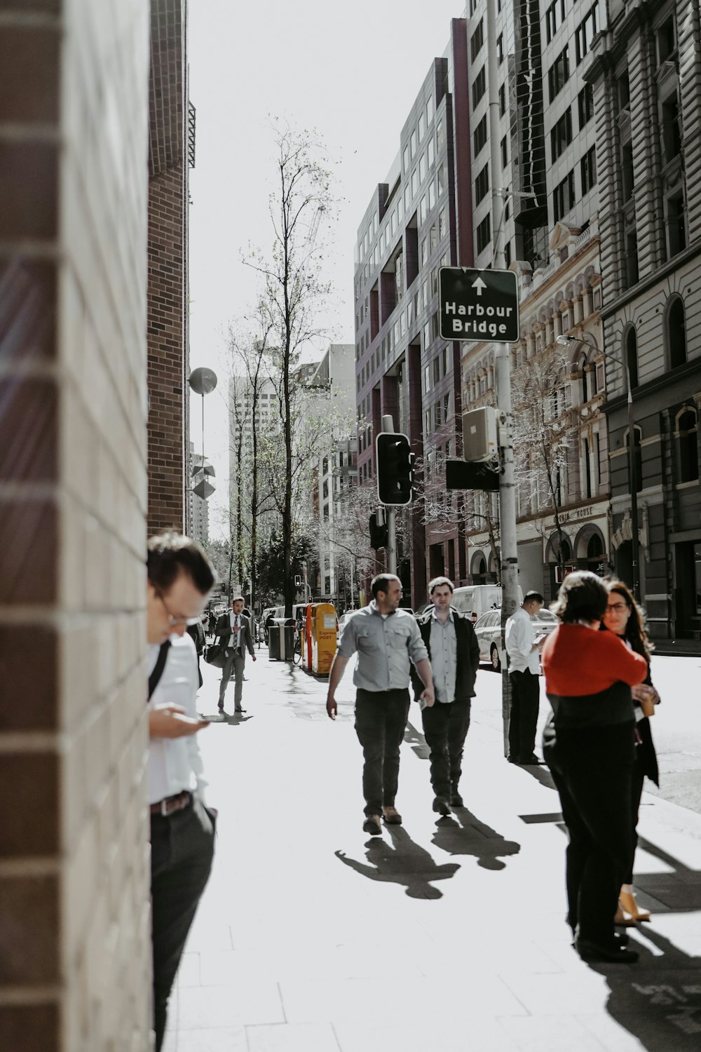 people walking on road