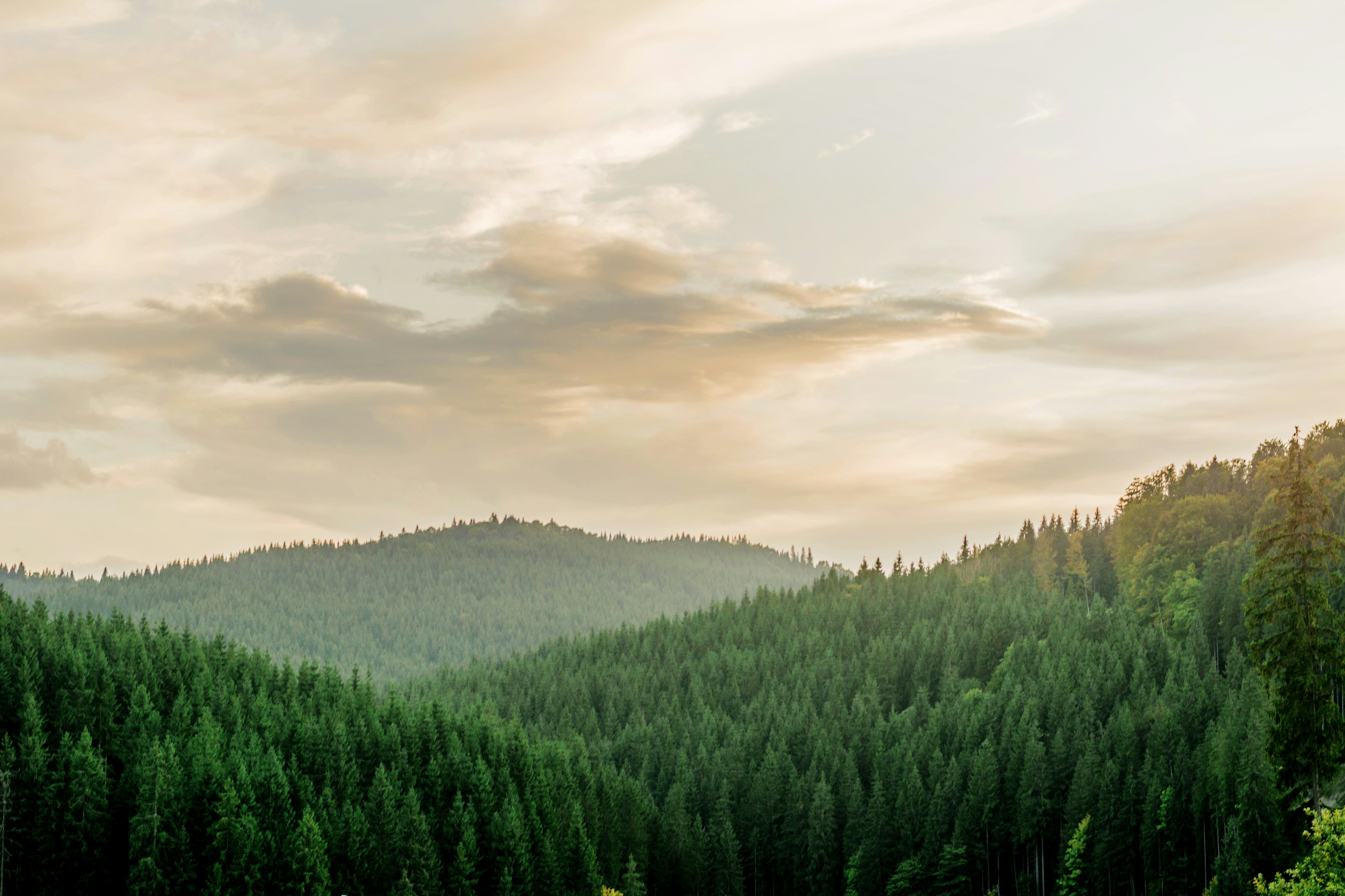 Photo by eugenivy_now