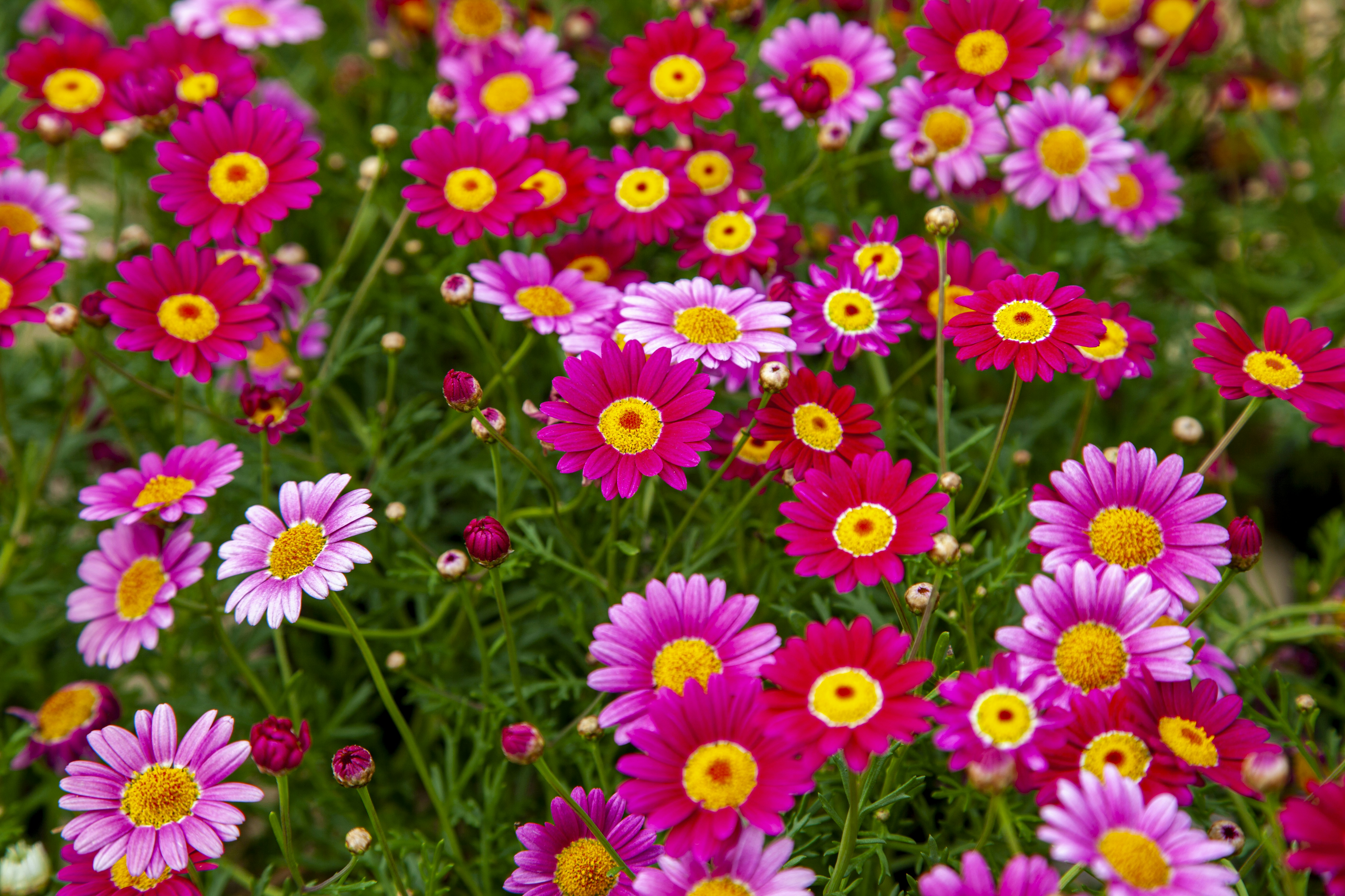 Photo by shaunmcreatives