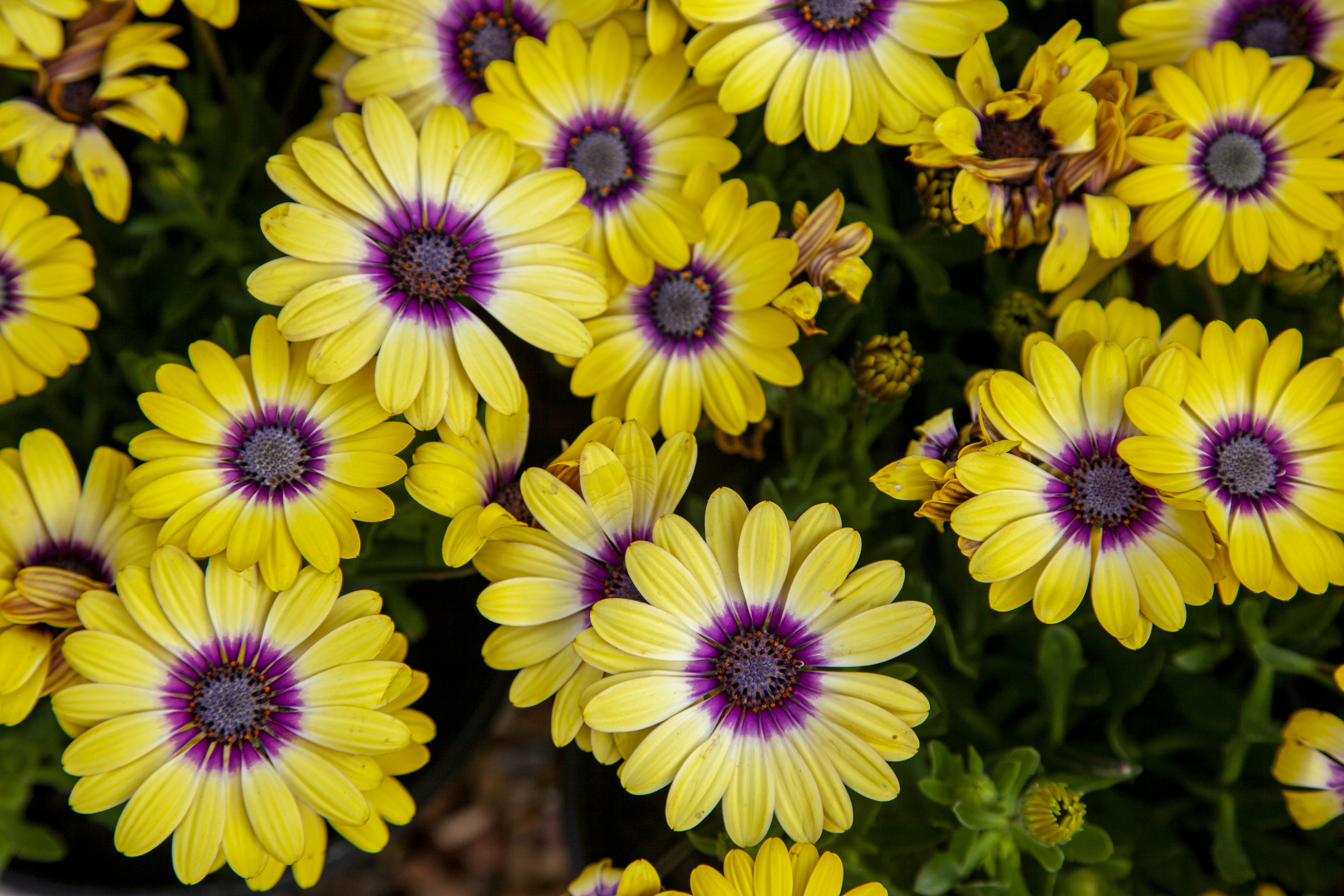 Photo by shaunmcreatives