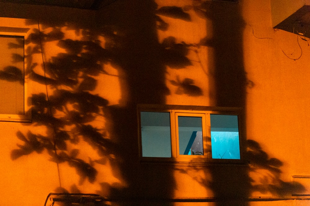 a shadow of a plant on a building