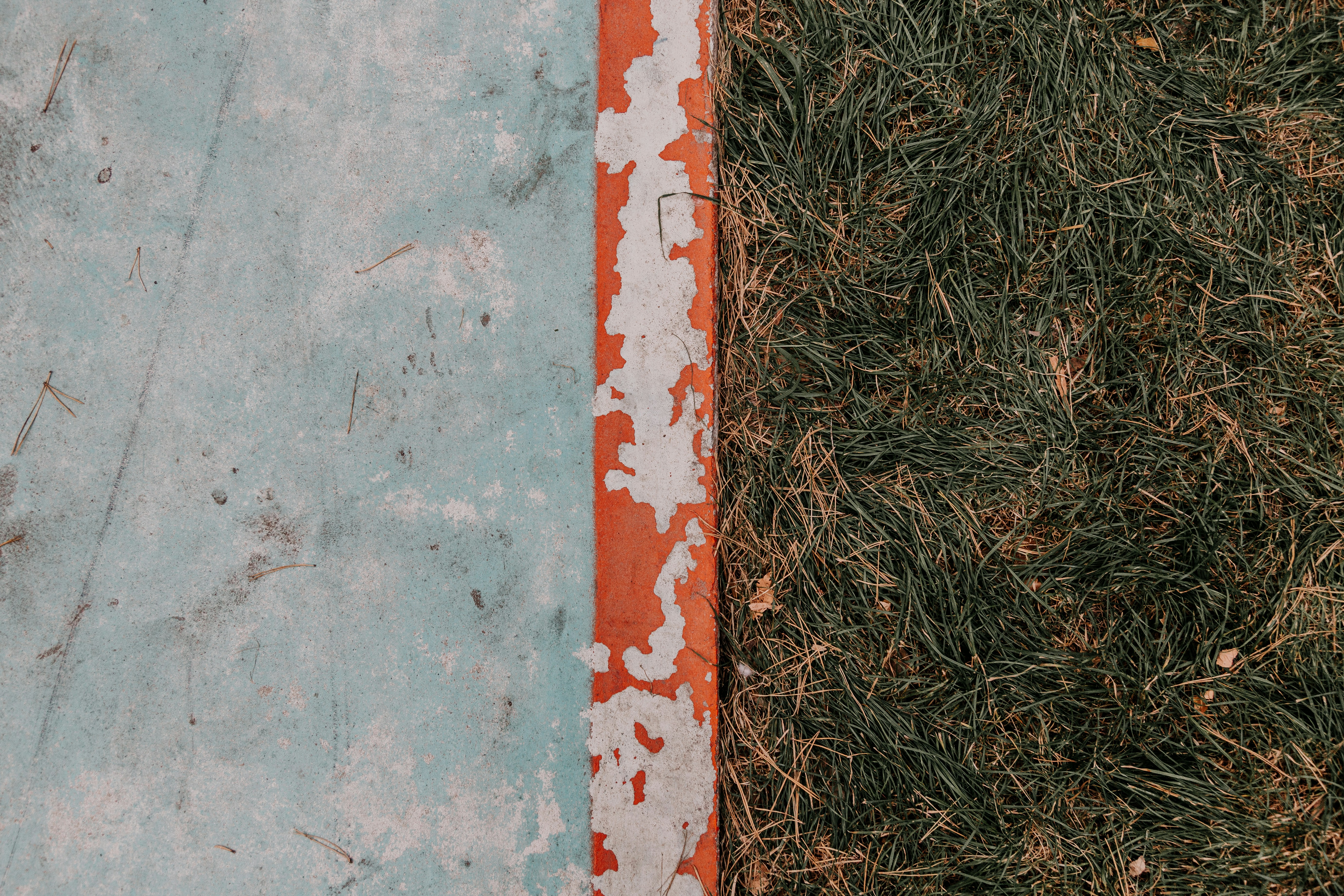 Photo by marjan_blan