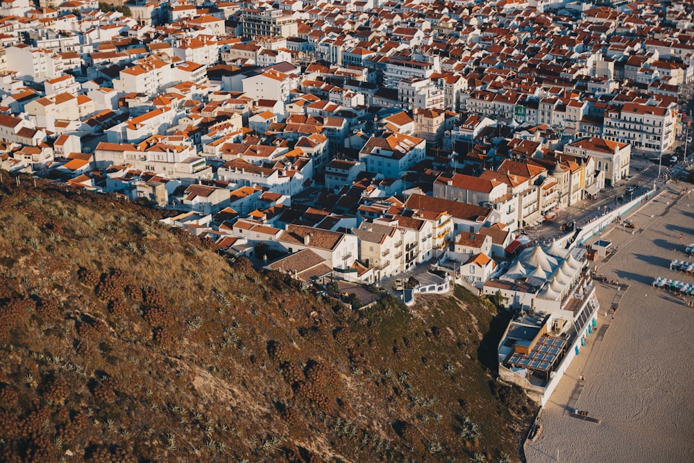 bird's eye view photography of city