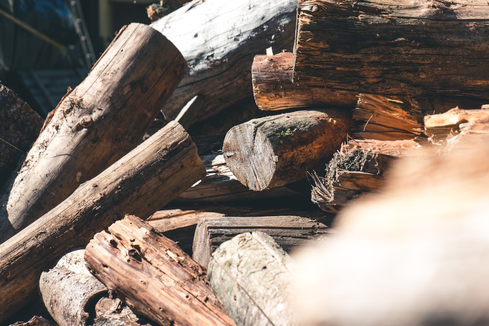 brown wood logs pile