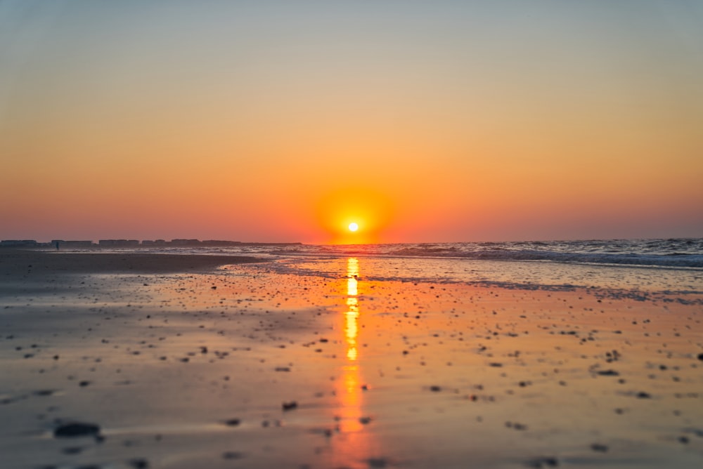 seashore during golden hour