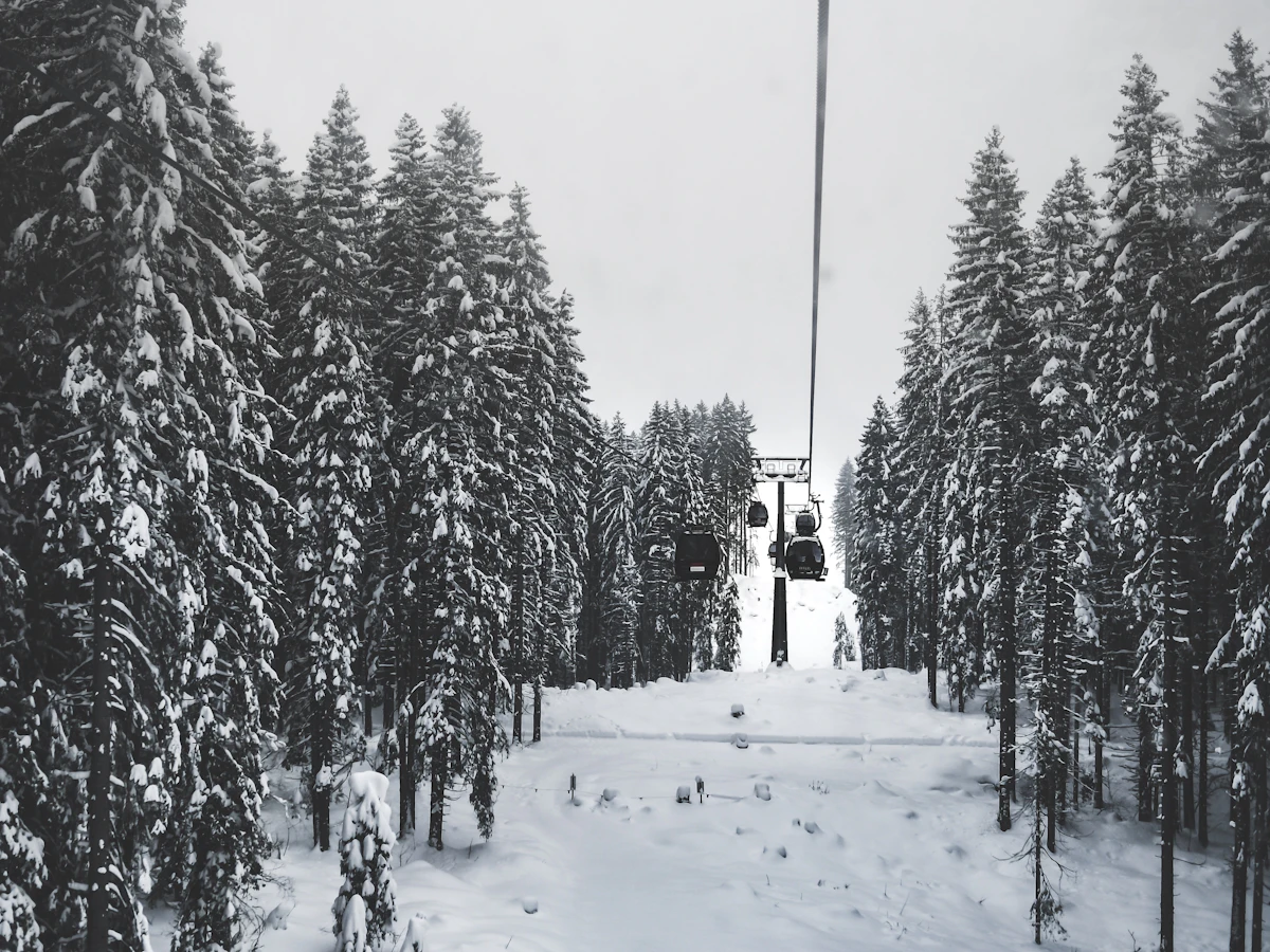powder snow ญี่ปุ่น เดือนมกราคม หิมะผงแห้งช่วง peak