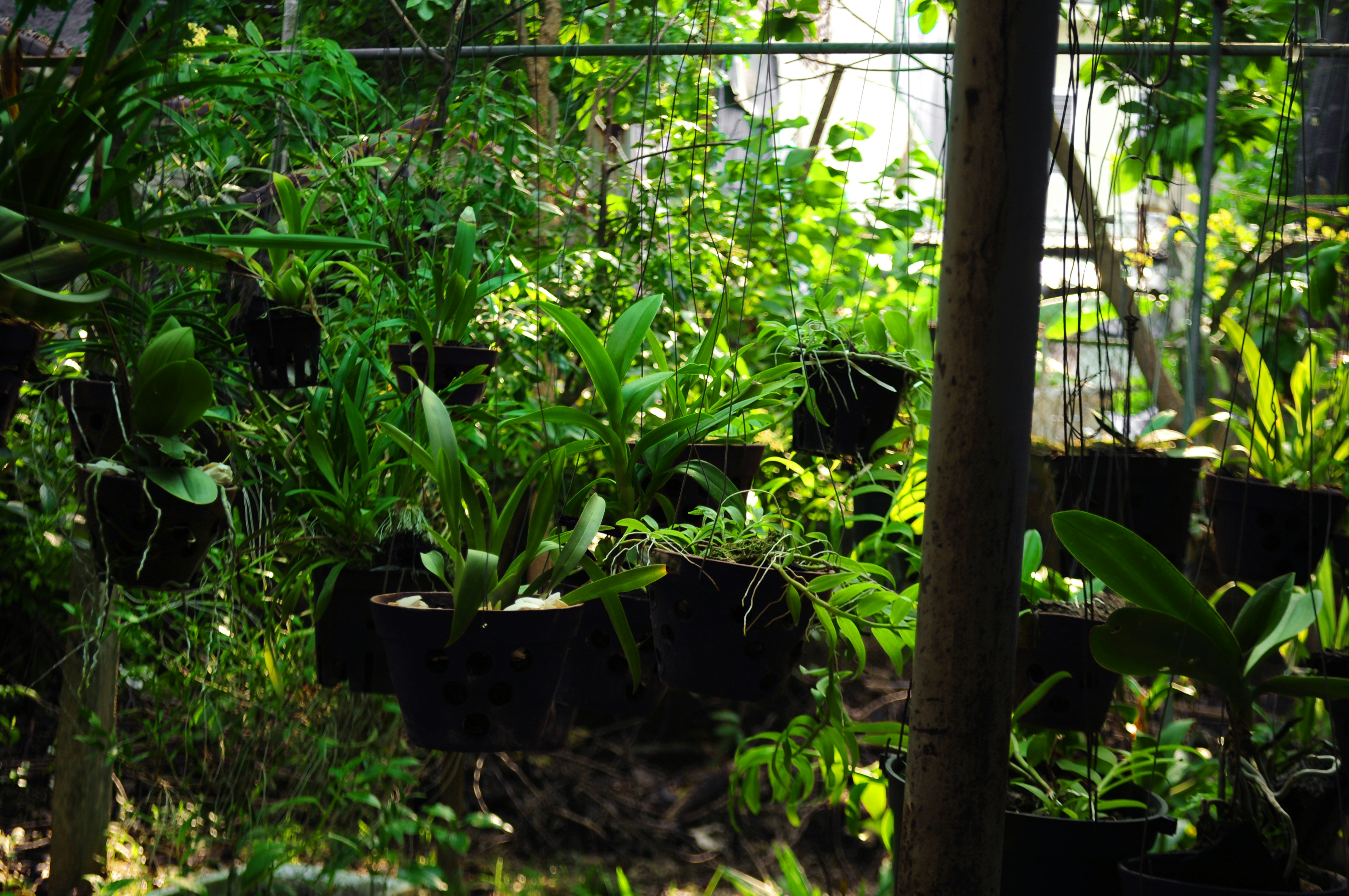 Photo by lycanthropeib