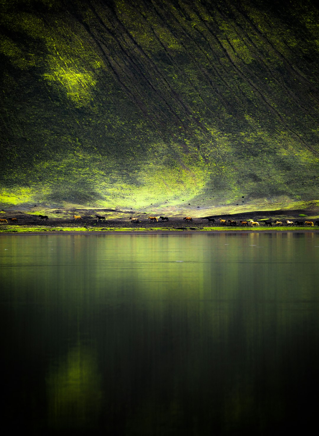 calm water during night time