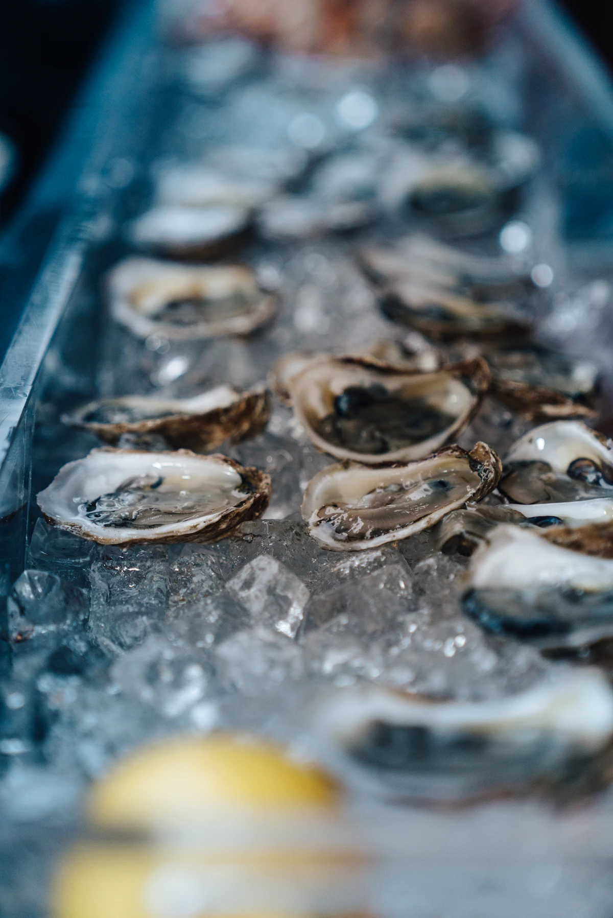 Raw oysters on ice with lemon