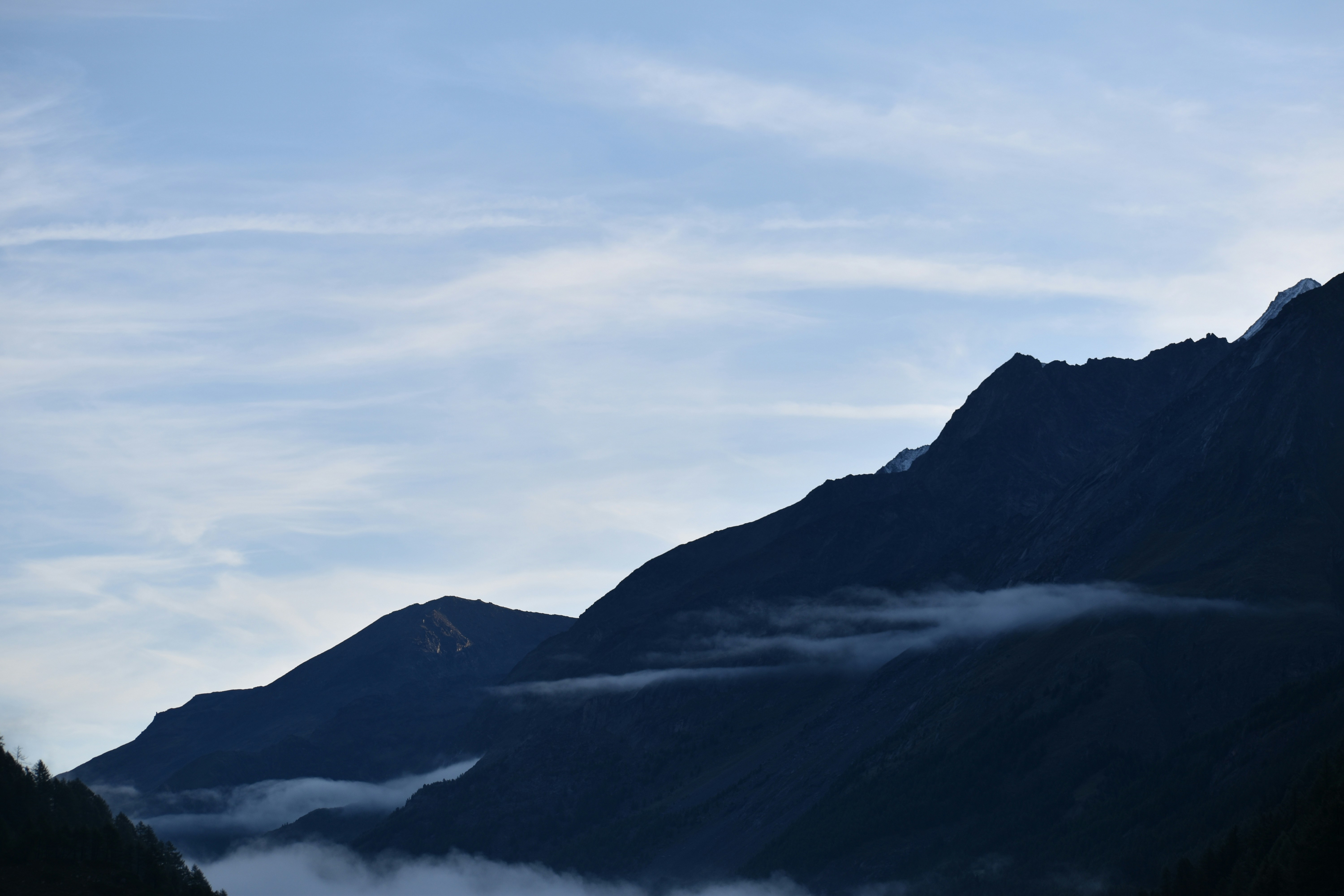 Photo by ellabella124