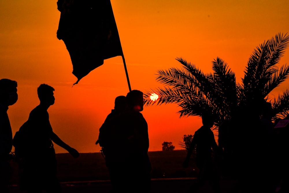 silhouette of people walking near plant