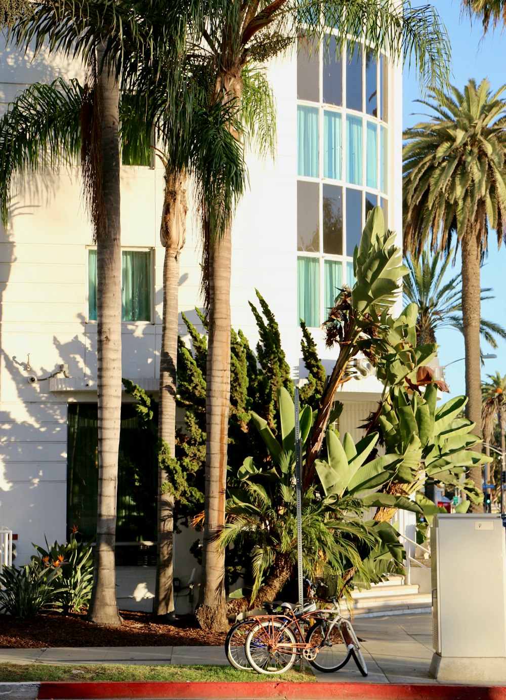 two bicycles parked beside green trees during daytime