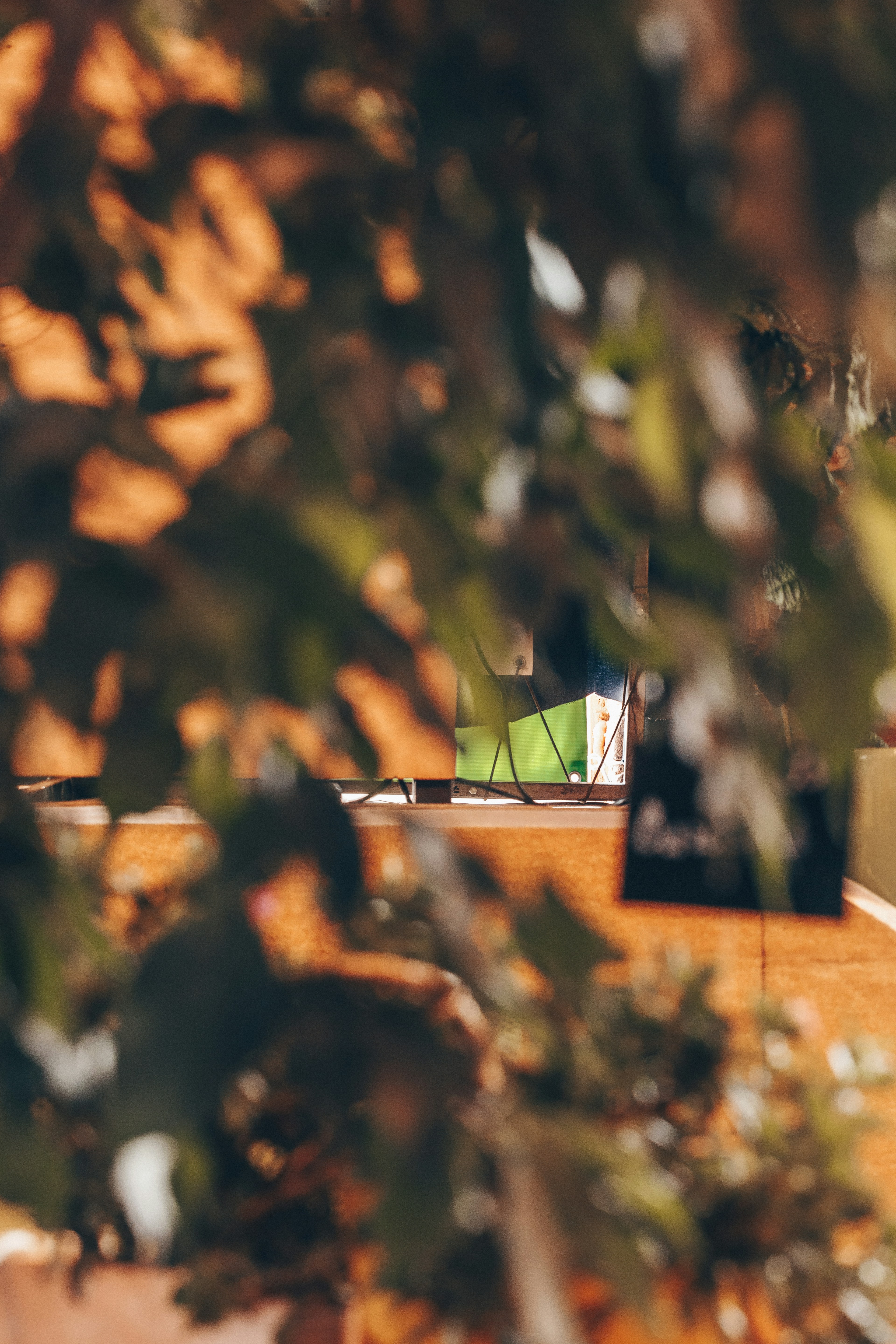 Photo by marjan_blan