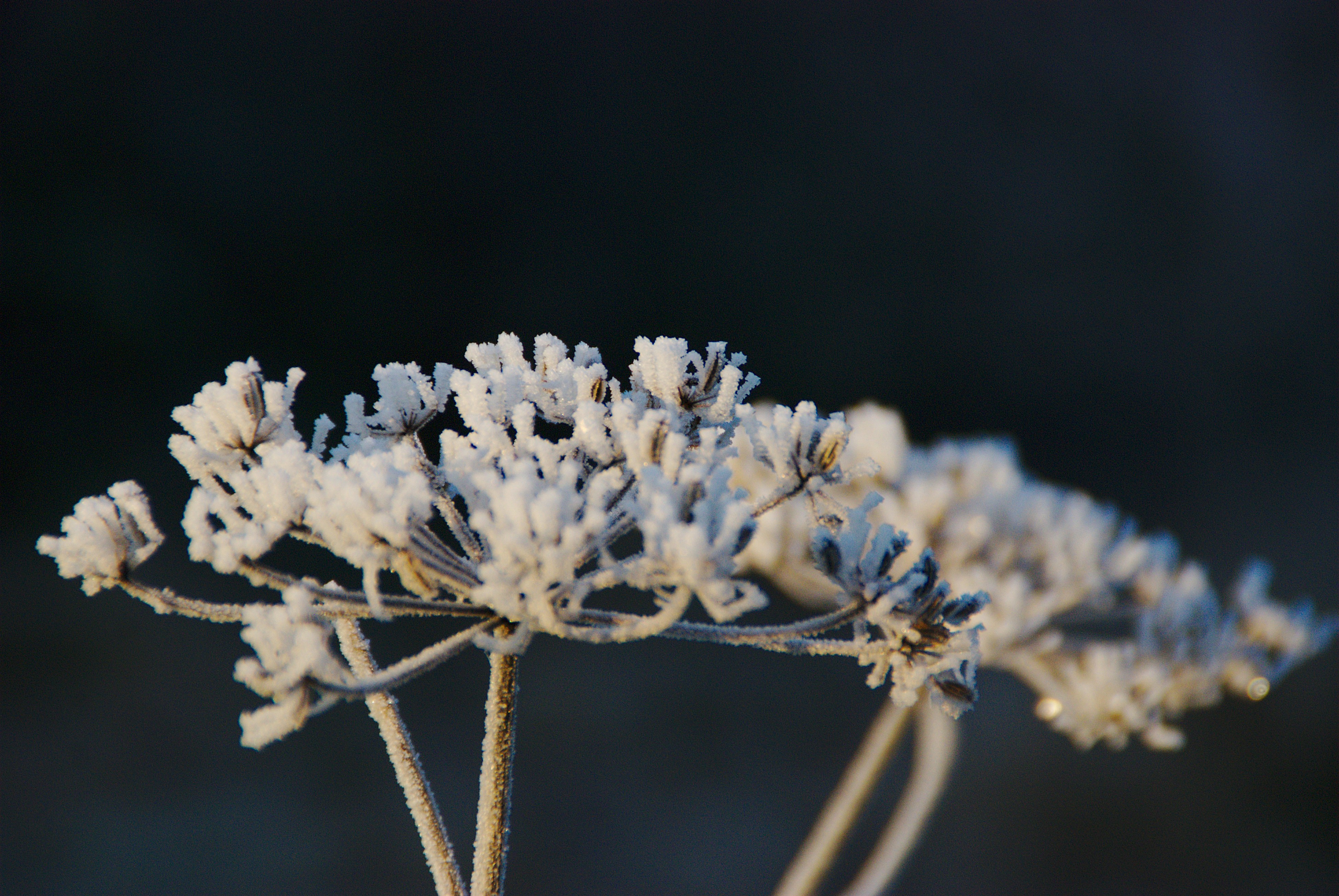 Photo by joelvschoon