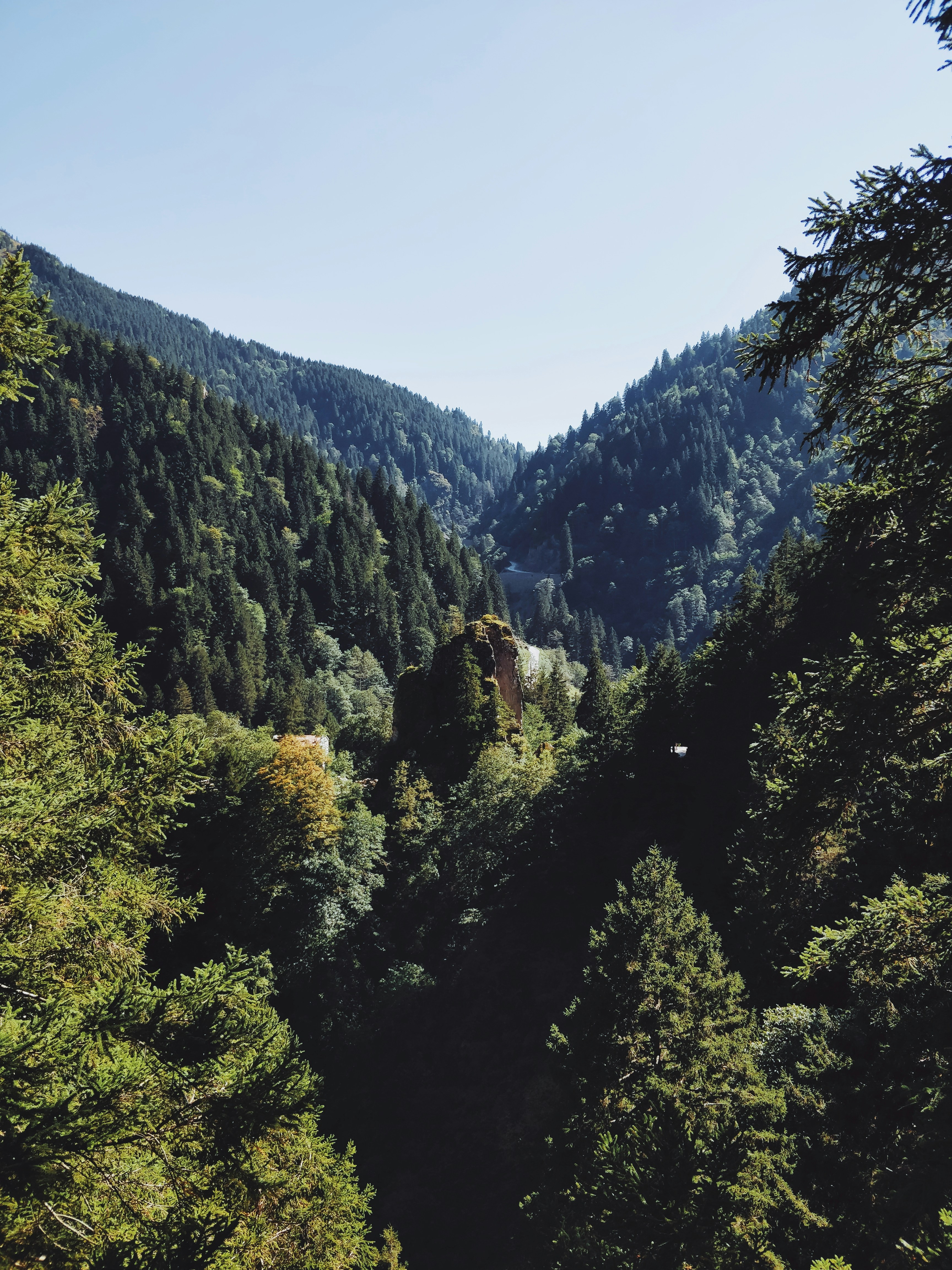 Photo by orkhanfarmanli