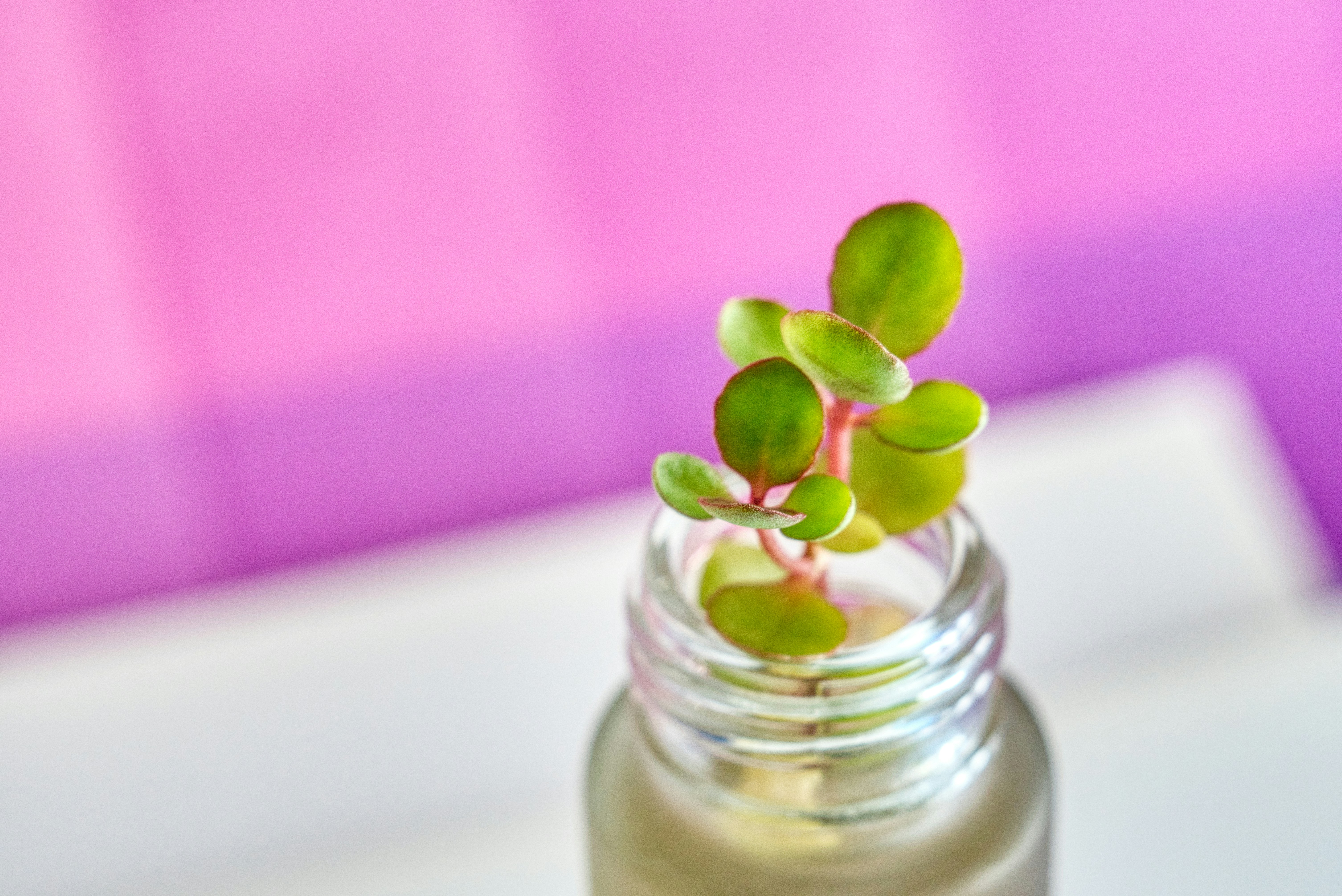 Photo by thomaskinto