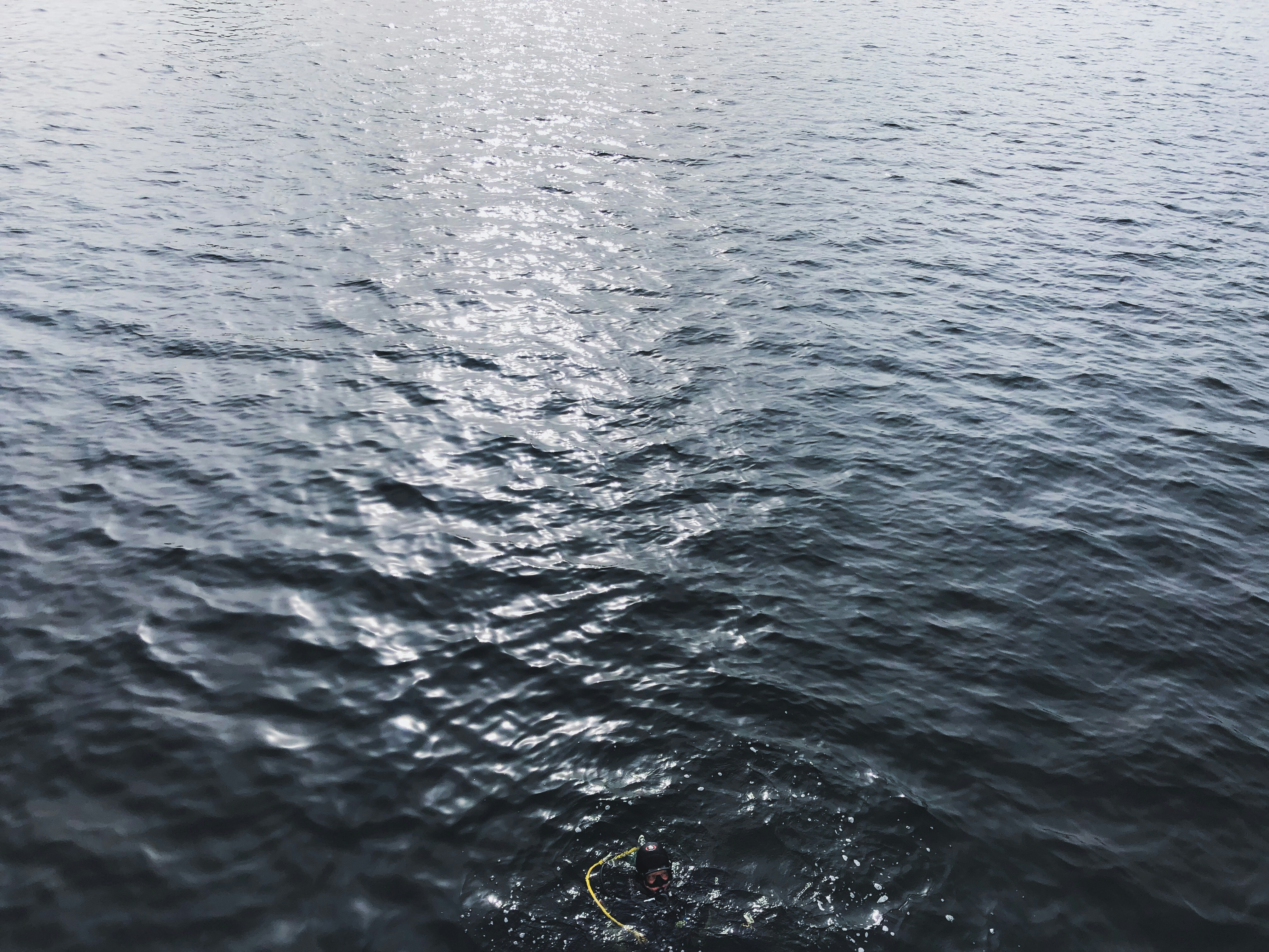 Photo by gabrielmagalhaes