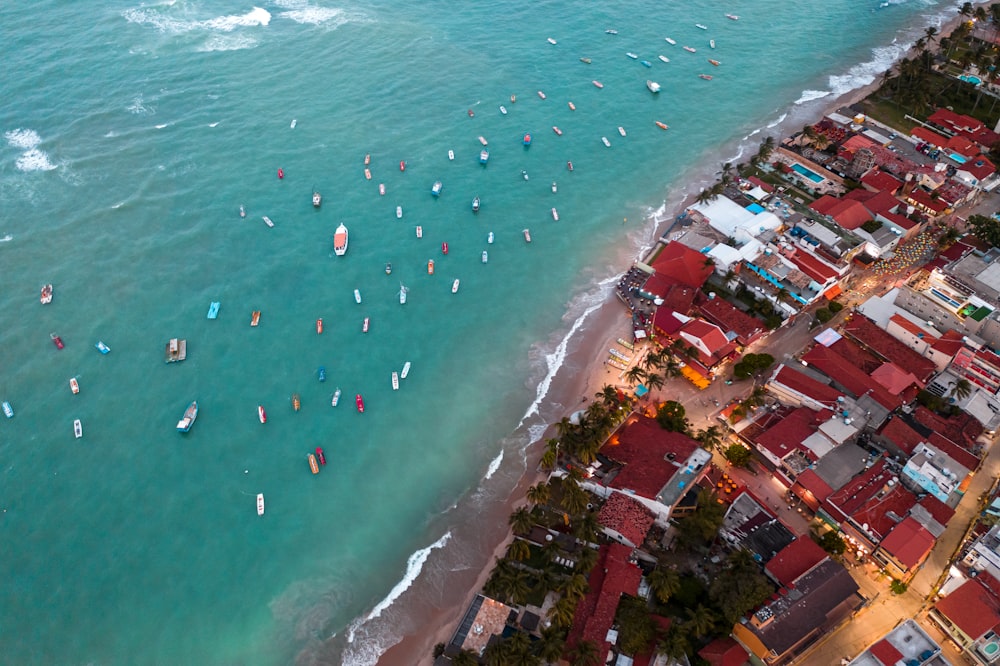 top-view photography of red and white buildings and body of water