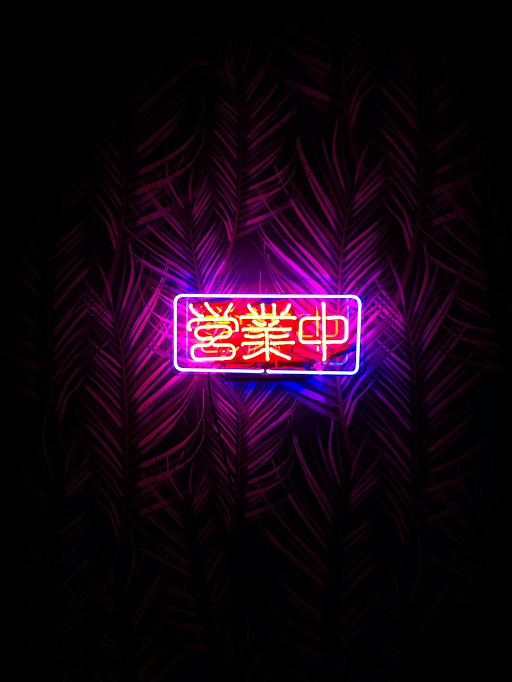 kanji script neon signage