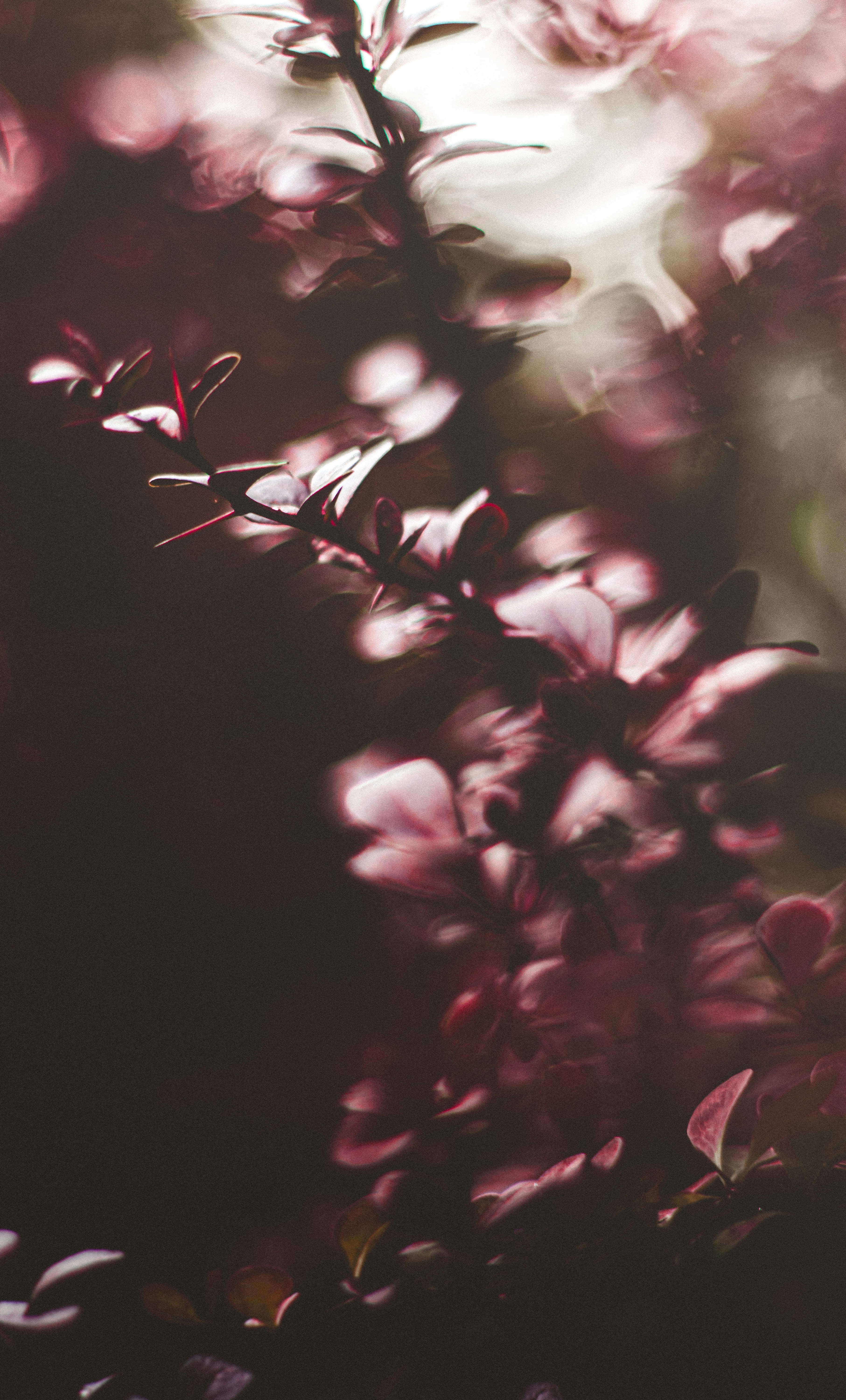 Photo by mathieubigard