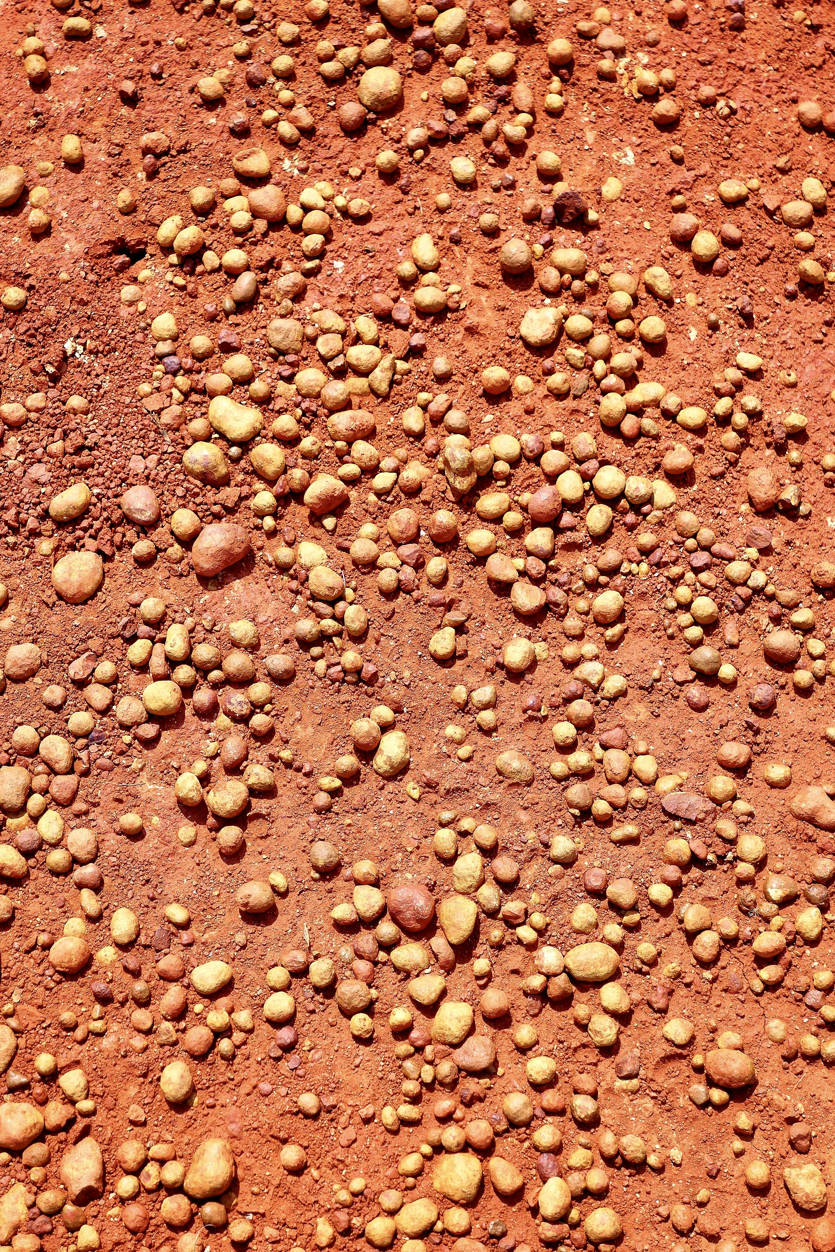 Spore Formation and Long-Term Survival (image credits: unsplash)