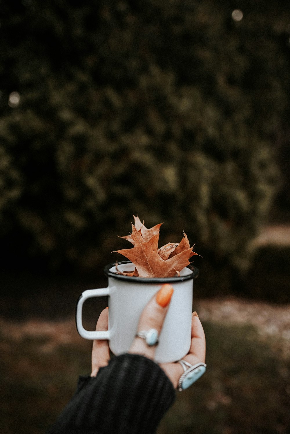 maple leaves in cup