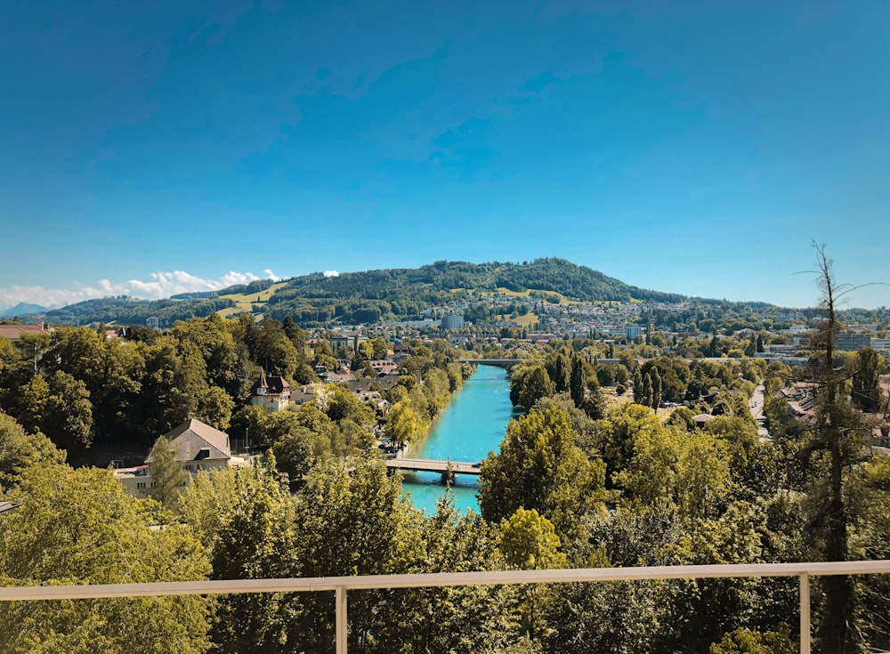 blue river surrounded by trees under blue sky