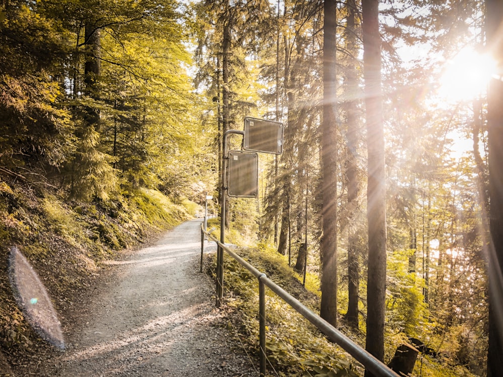 Wanderweg im Wald