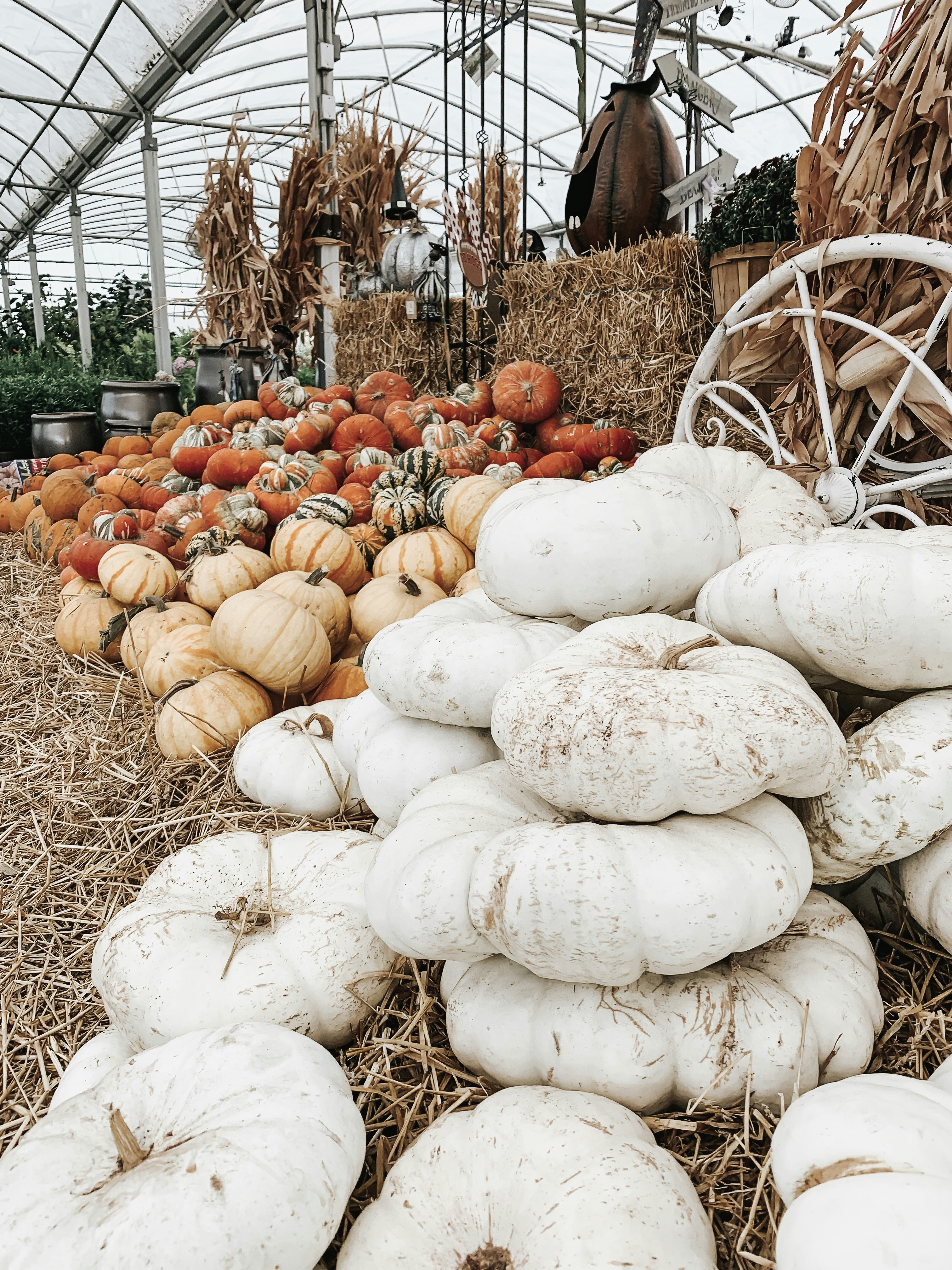 Unsplashで見つけるロサンゼルスの無料写真