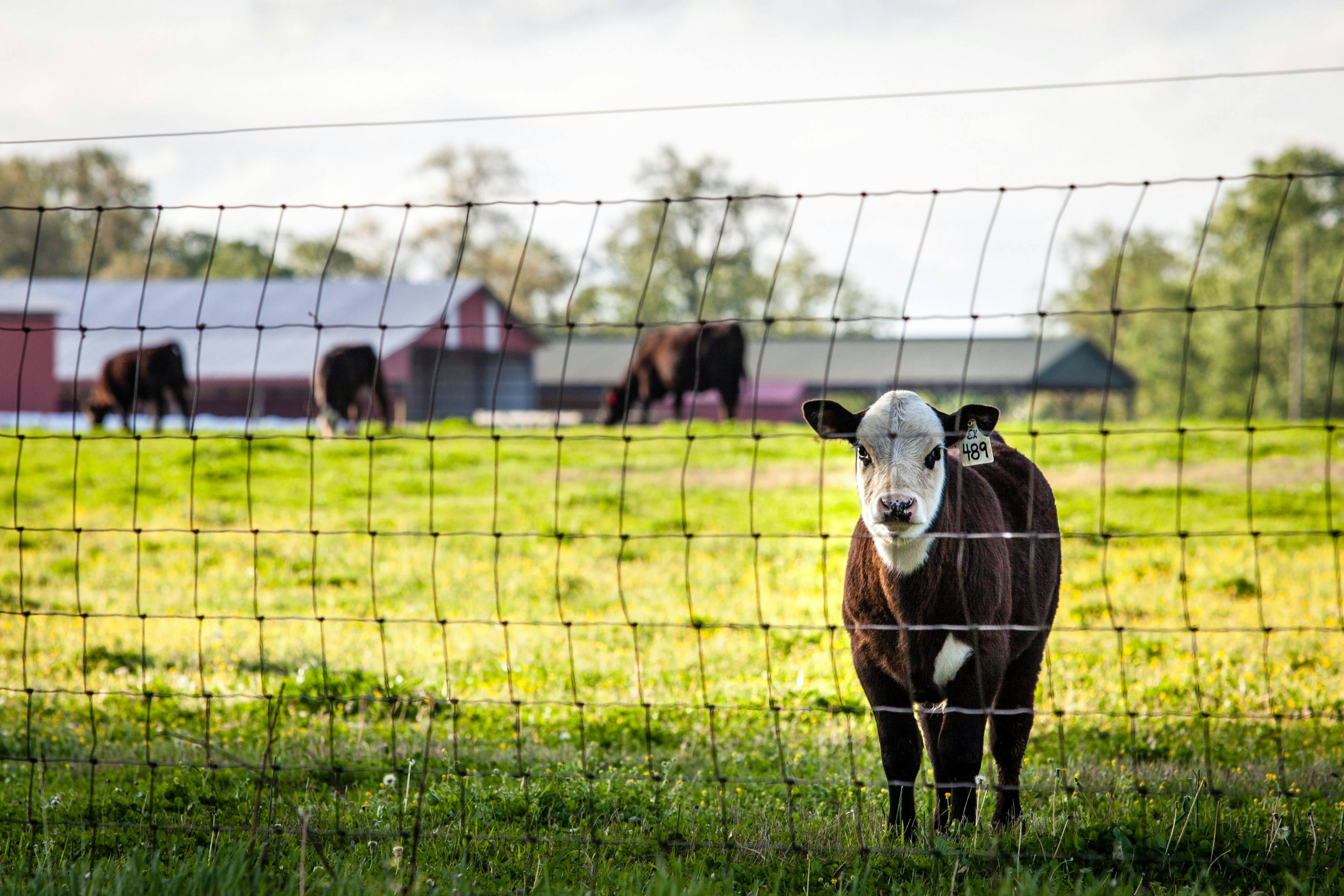 Photo by heathergill