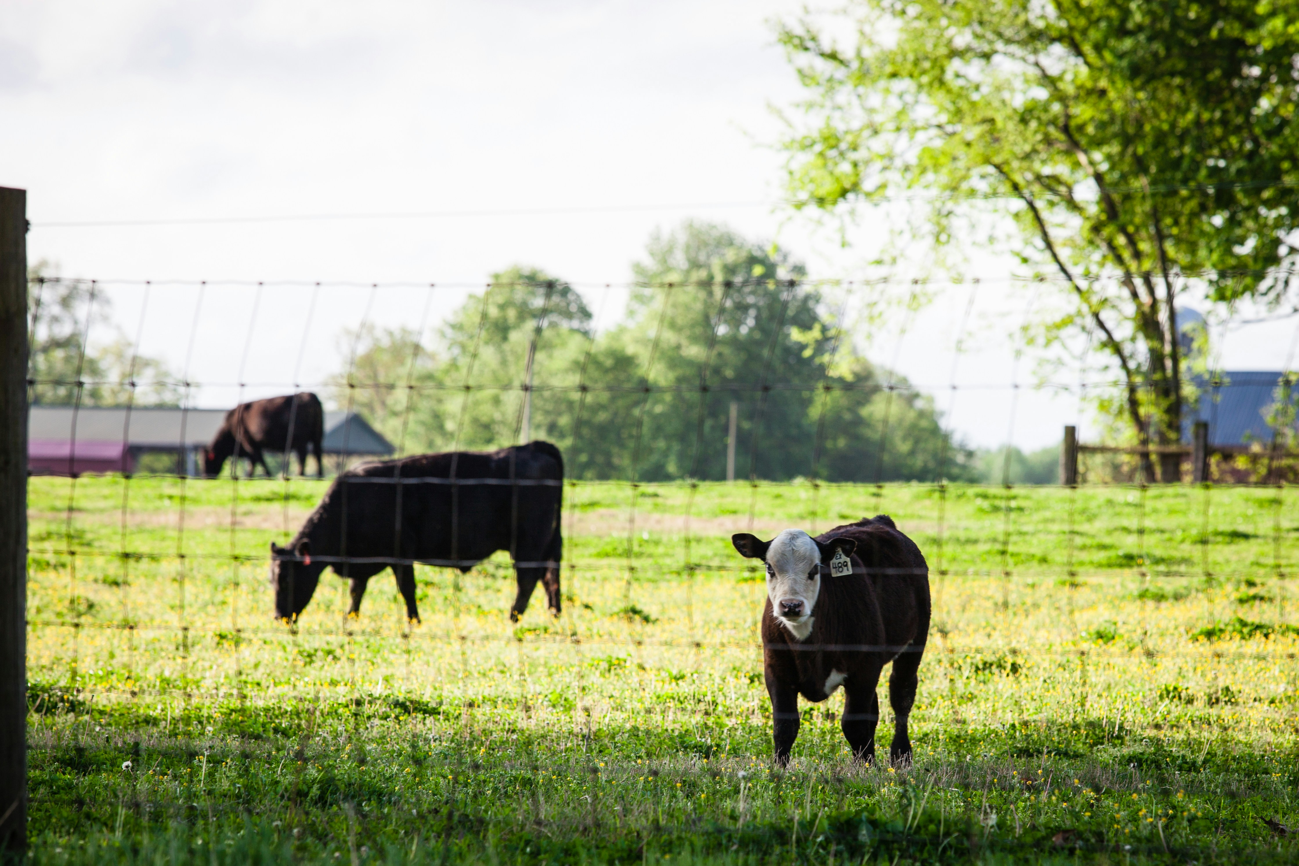 Photo by heathergill