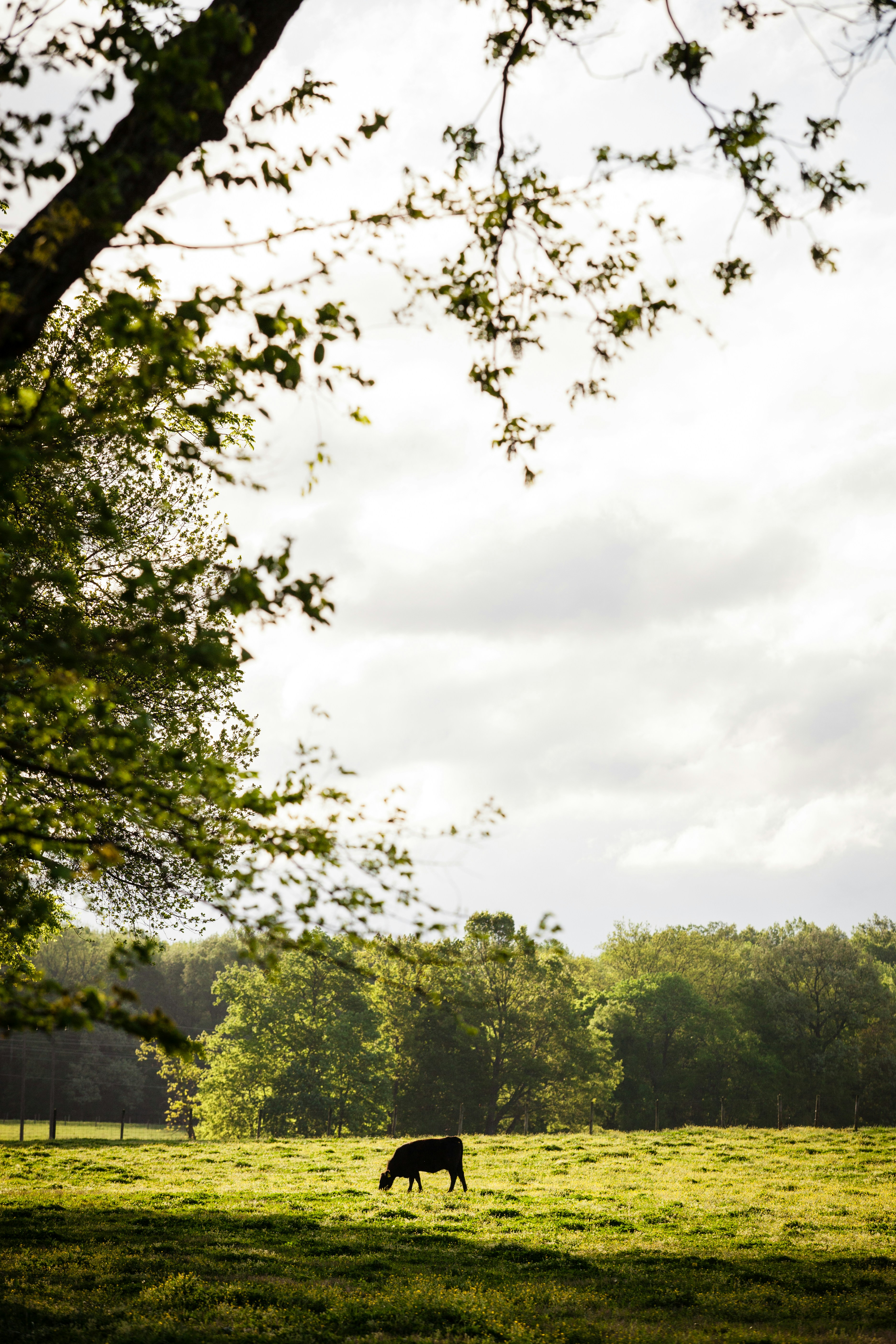 Photo by heathergill