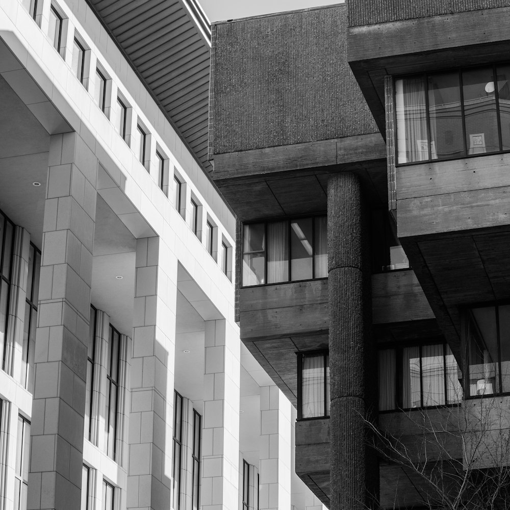 grayscale photo of buildings