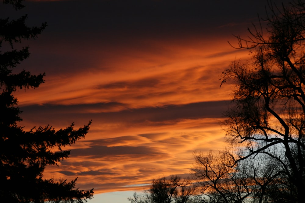 a sunset with clouds and trees in the foreground