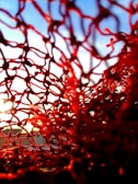A close-up view of a red netting material, with intricate threads forming a web-like pattern. The background features a gradient of blue sky and a bright sunlight is visible through the woven structure.