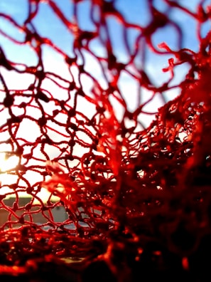 A close-up view of a red netting material, with intricate threads forming a web-like pattern. The background features a gradient of blue sky and a bright sunlight is visible through the woven structure.