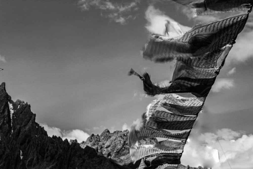 clothes hung on clothesline during day