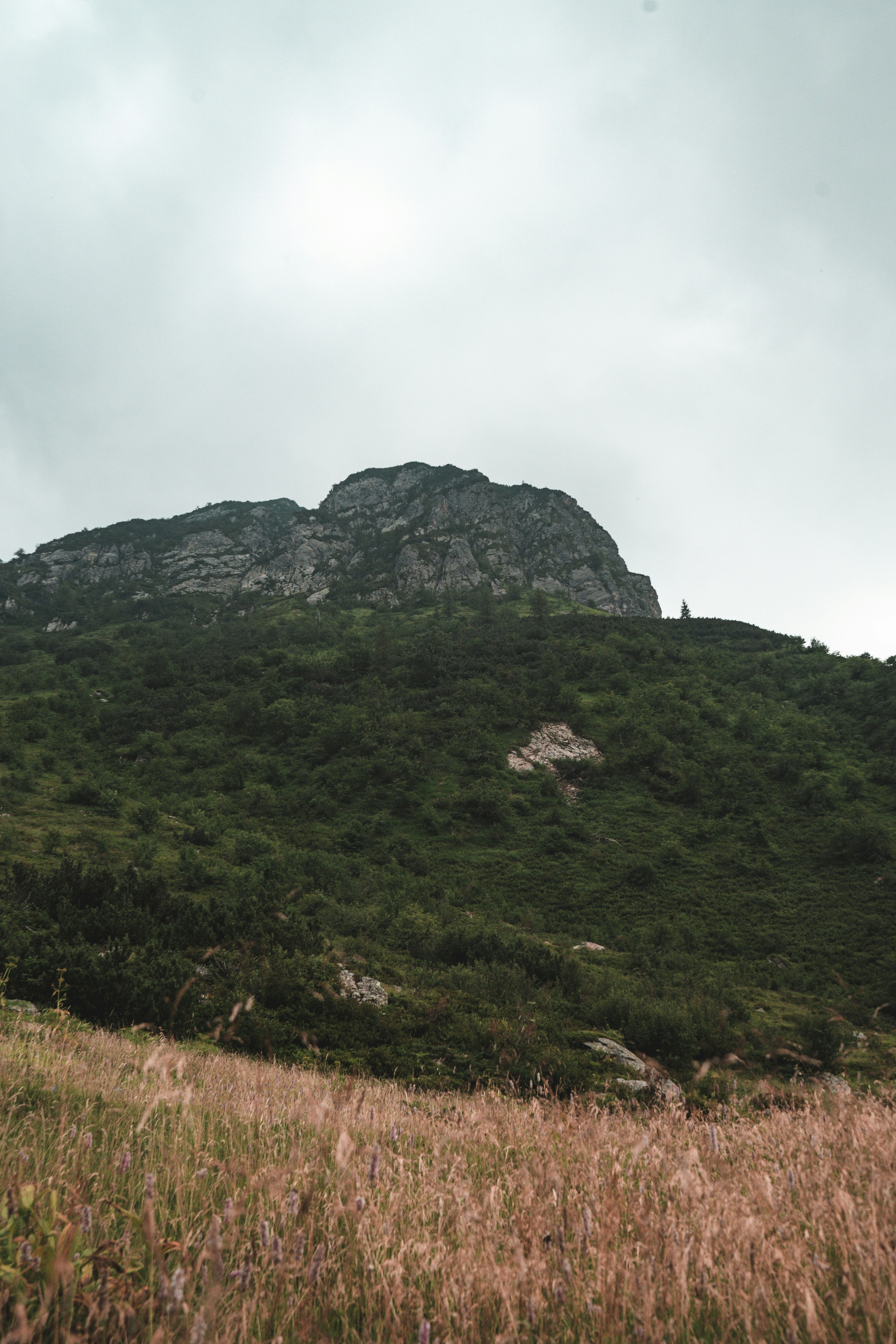 Photo by giordanorossoni