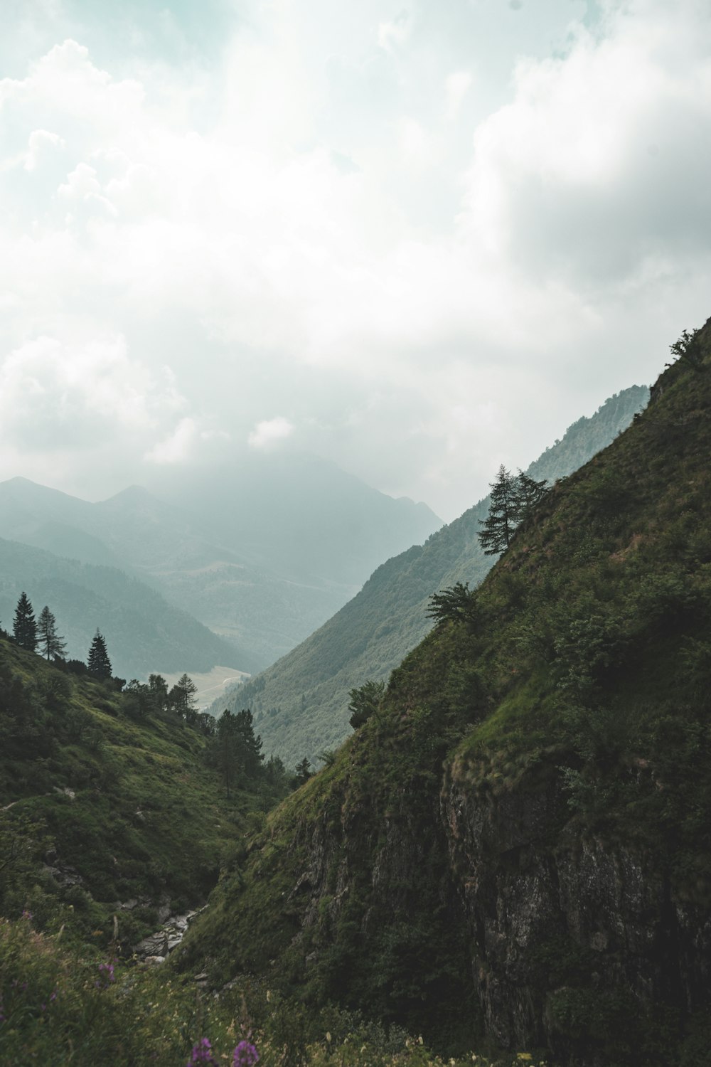 mountains covered with green leafed trees under white clouds